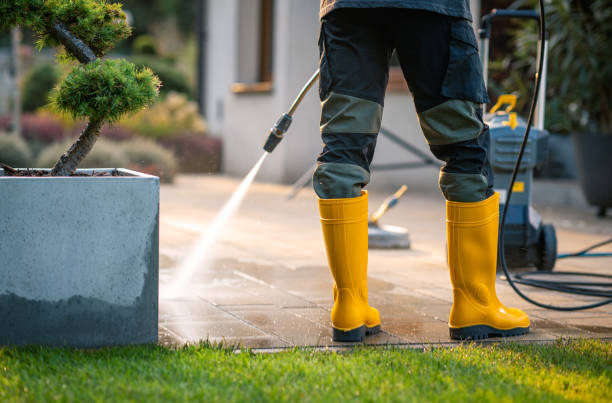 Best House Pressure Washing  in New Baden, IL